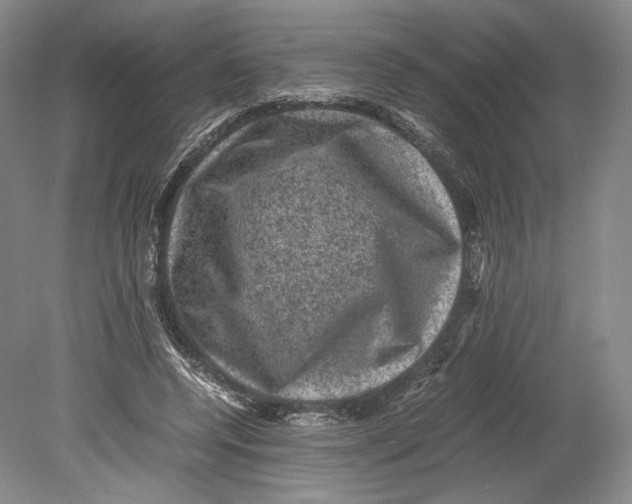 X0000078860544200612111650