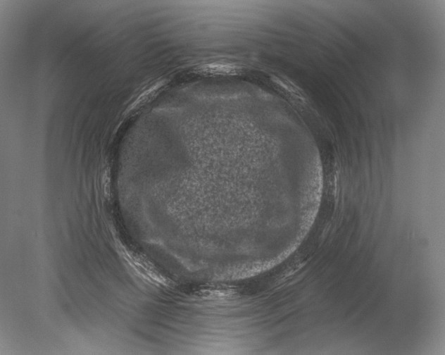 X0000078860552200612111650