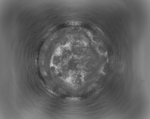 X0000078860553200612111650