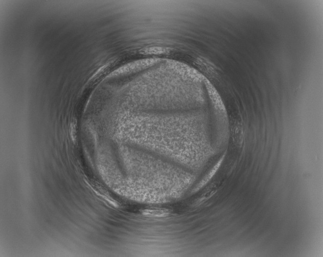 X0000078860556200612111650