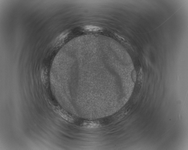 X0000078860559200612111650