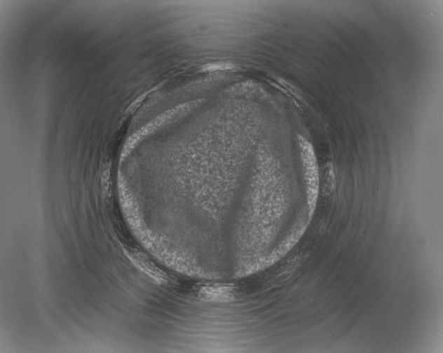 X0000078860560200612111650
