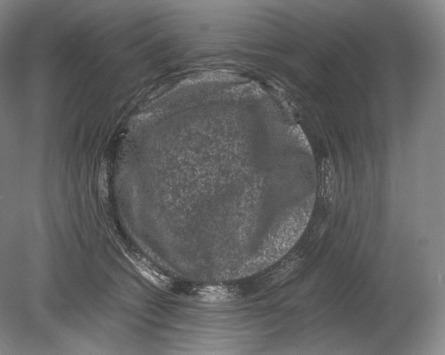 X0000078860562200612111650