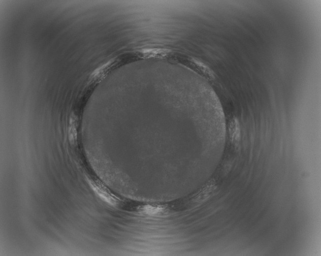 X0000078860570200612111651