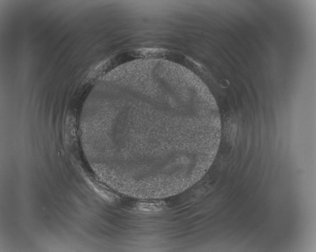 X0000078860571200612111651