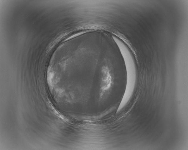 X0000078860577200612111650