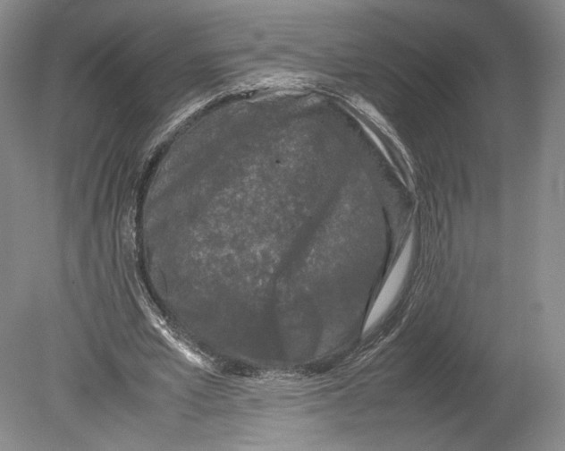X0000078860581200612111650