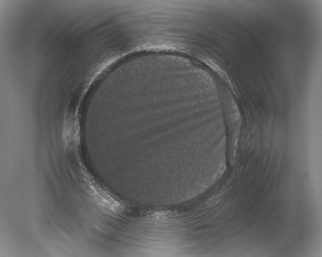 X0000078860584200612111650