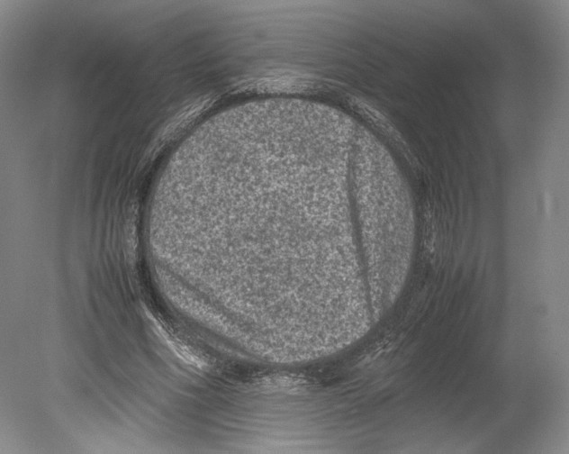 X0000078860586200612111650