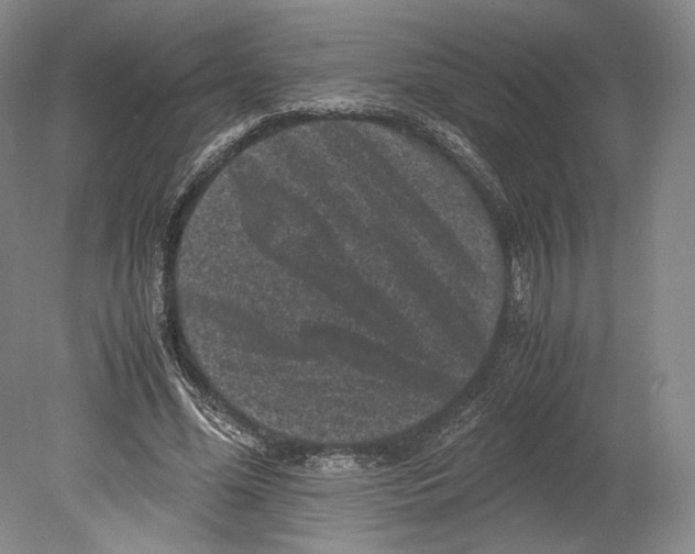 X0000078860588200612111650