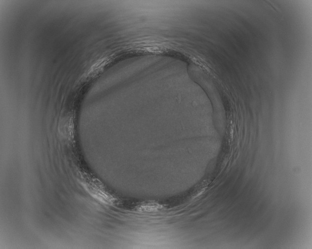 X0000078860595200612111650