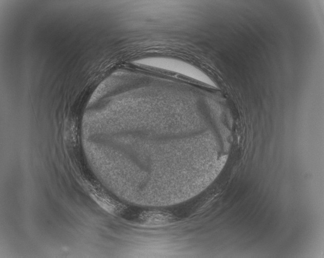 X0000078860597200612111649