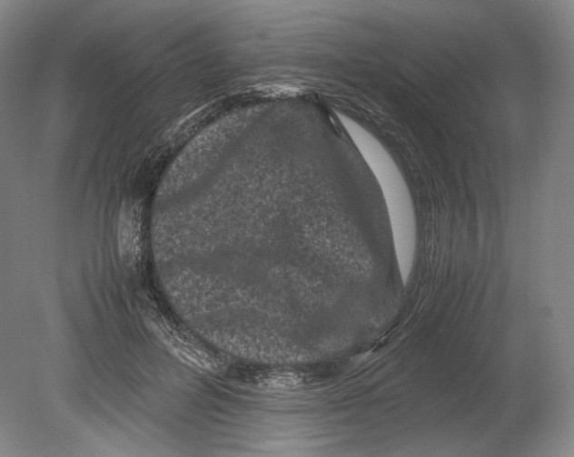 X0000078860600200612111649