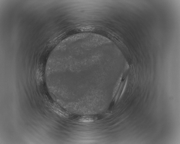 X0000078860604200612111649