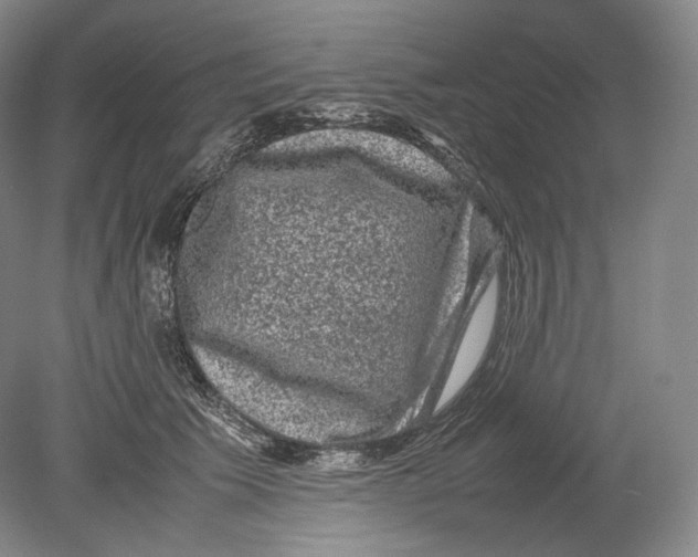 X0000078860609200612111649