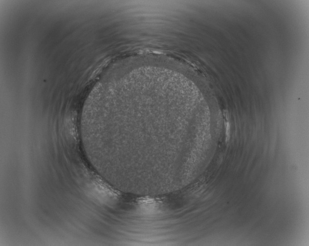 X0000078860616200612111649
