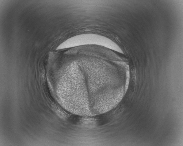 X0000078860617200612111649