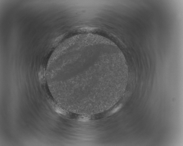 X0000078860624200612111649