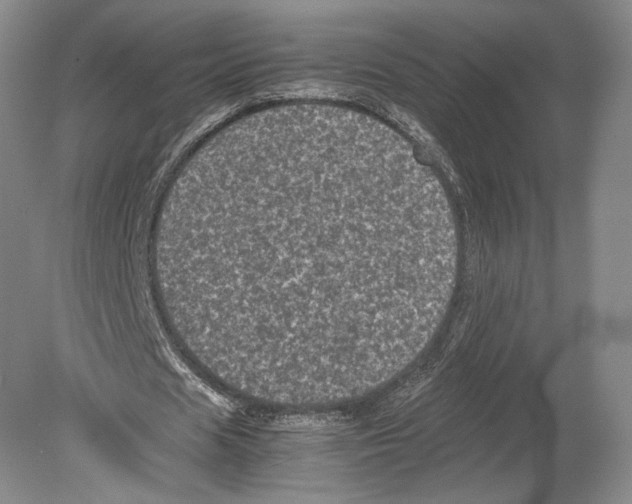 X0000078860625200612111648