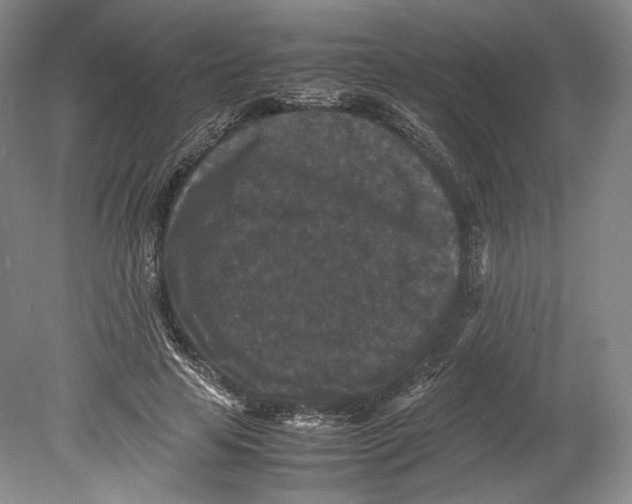 X0000078860641200612111648