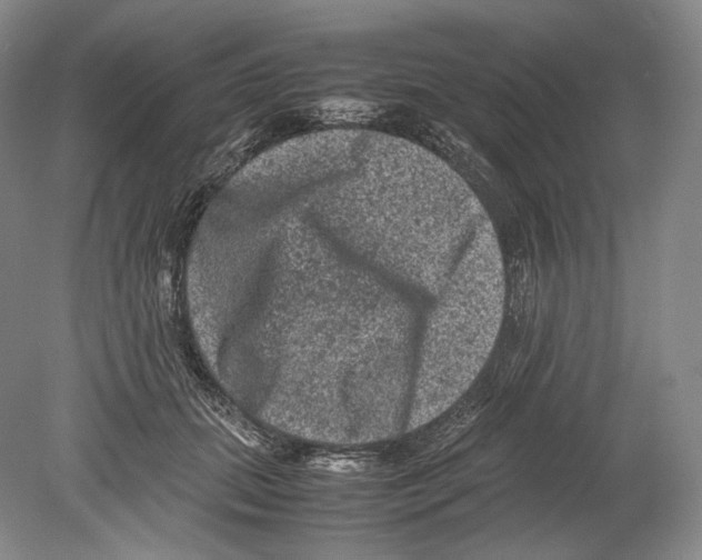 X0000078860655200612111649