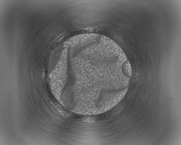 X0000078860656200612111649