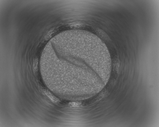 X0000078860660200612111649
