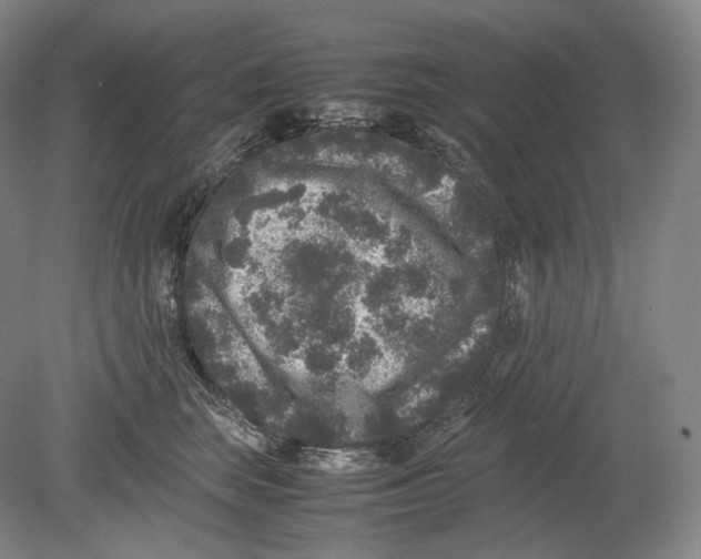 X0000078860663200612111649
