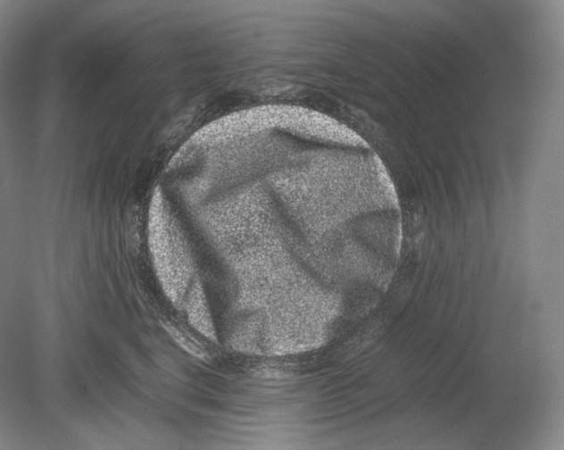 X0000078860664200612111649