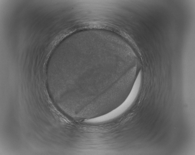 X0000078860673200612111648