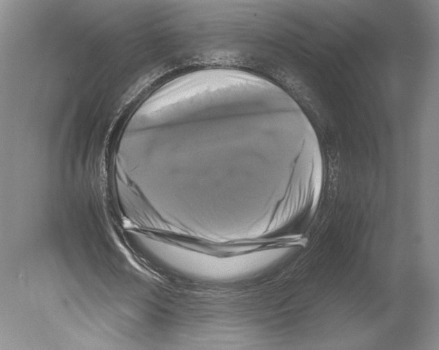 X0000078860674200612111648