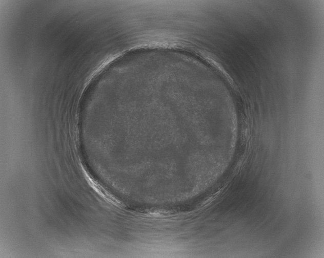 X0000078860677200612111648