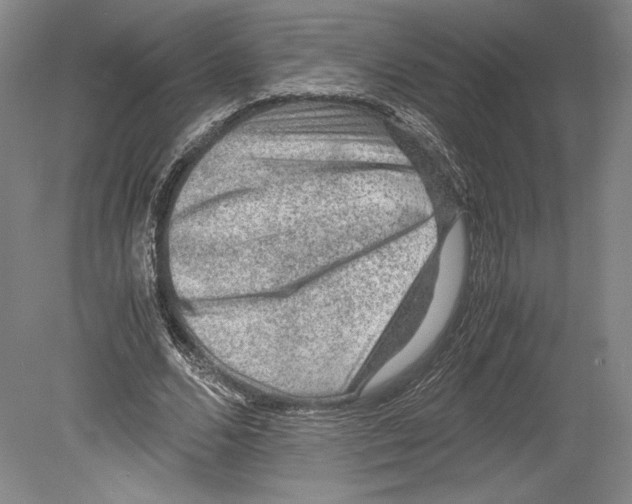 X0000078860680200612111648