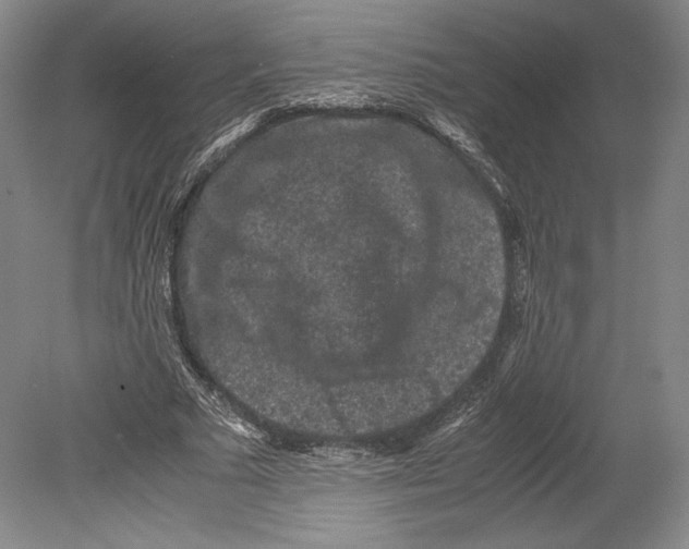 X0000078860681200612111648