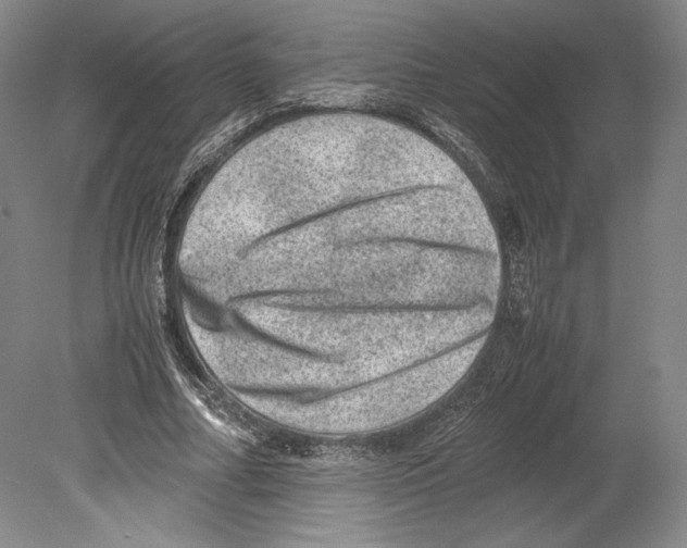 X0000078860682200612111648