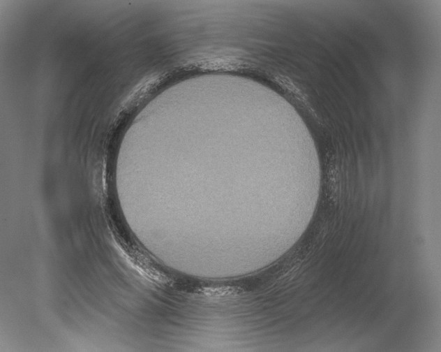 X0000078860686200612111648