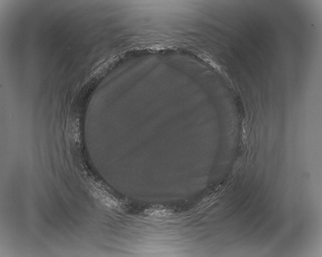 X0000078860689200612111648