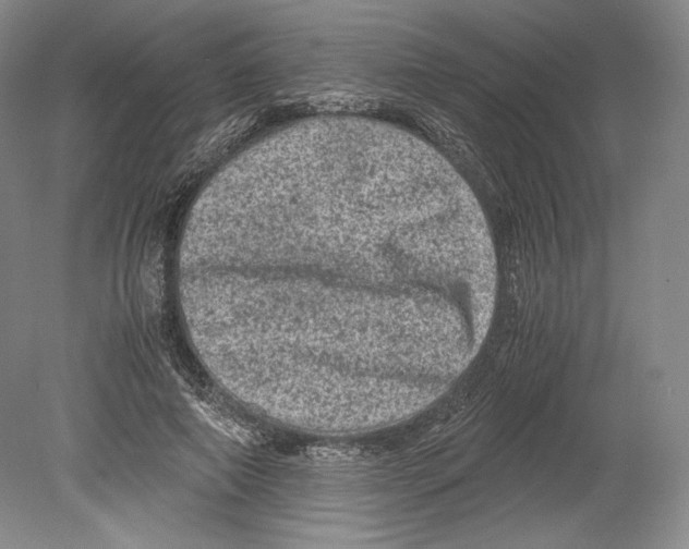 X0000078860690200612111648