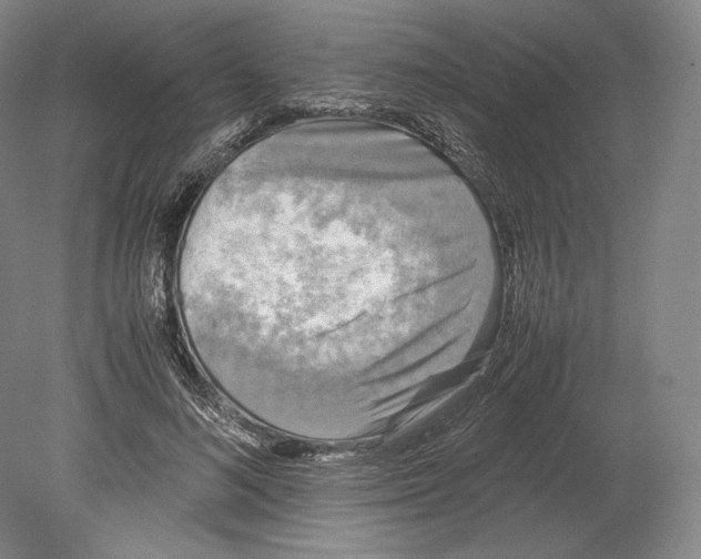 X0000078860692200612111648