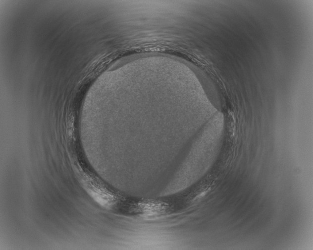 X0000078860693200612111648