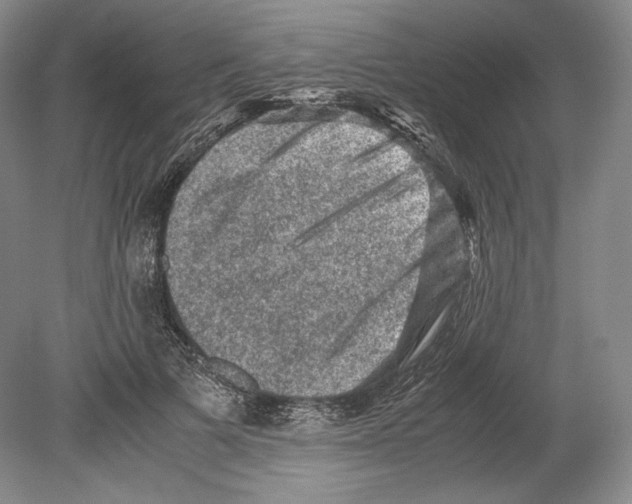 X0000078860697200612111648