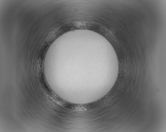 X0000078860702200612111648