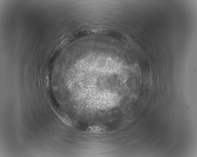 X0000078860703200612111648