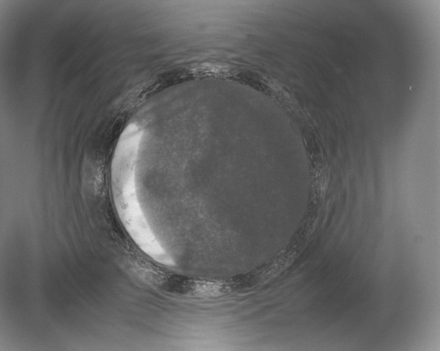 X0000078860709200612111648