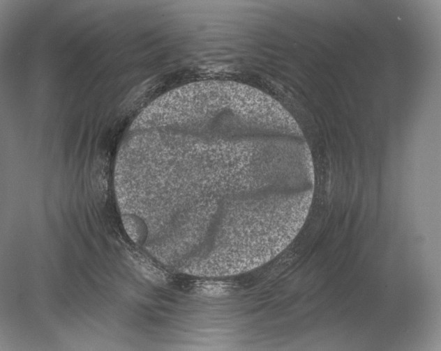 X0000078860710200612111648