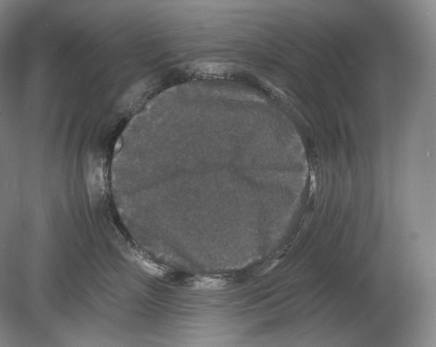 X0000078860718200612111647