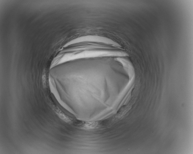 X0000078860720200612111647