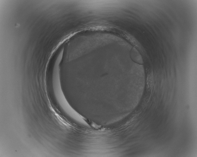 X0000078860722200612111647