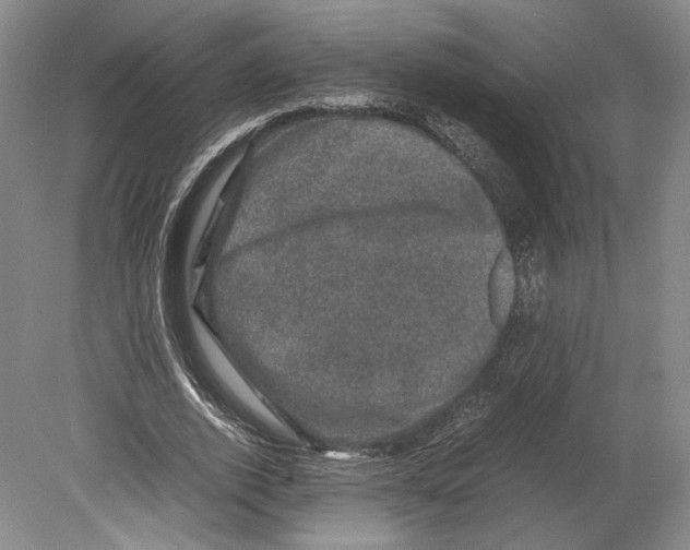 X0000078860728200612111647