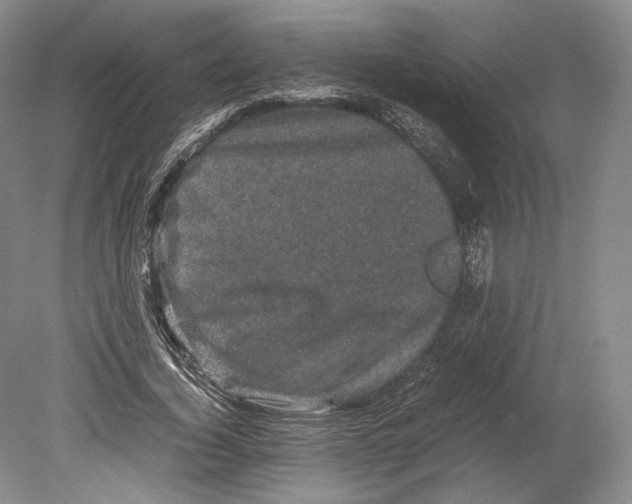 X0000078860732200612111647